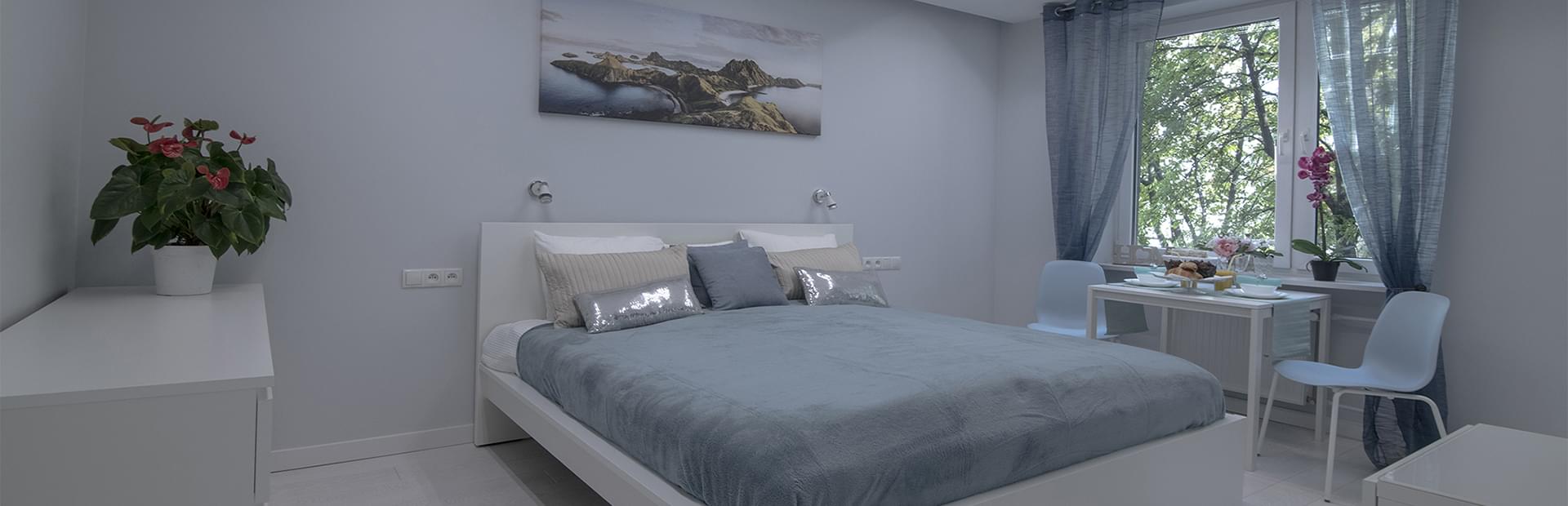 Apartment Salon Bed Window