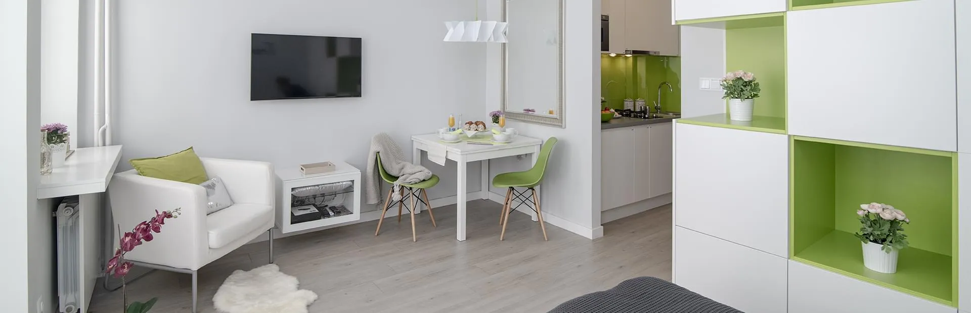 Apartment Salon TV
